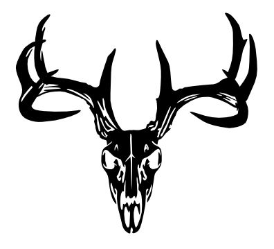 elk skull joined