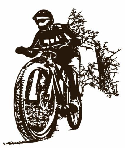 mountian biker and trees