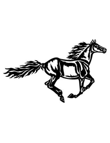 Cowboys-and-Horses-12