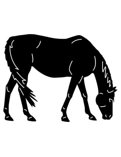Cowboys-and-Horses-25