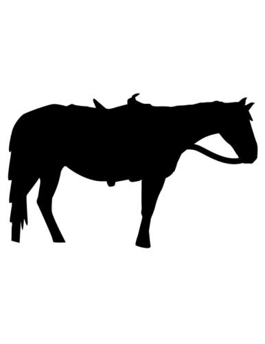 Cowboys-and-Horses-26