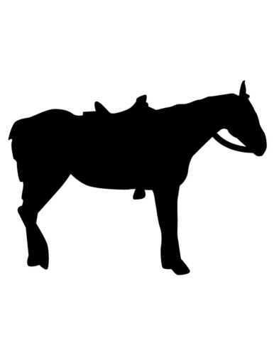 Cowboys-and-Horses-27