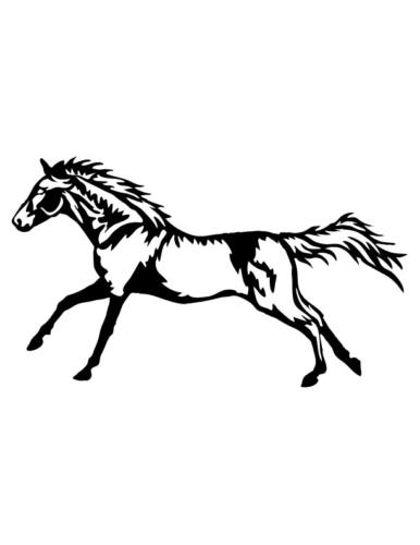 Cowboys-and-Horses-3