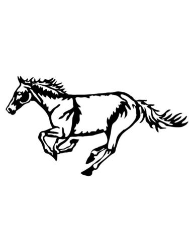 Cowboys-and-Horses-4