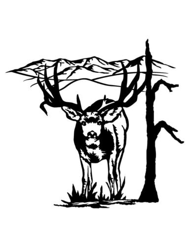 Mule-Deer-Buck-Scene-2
