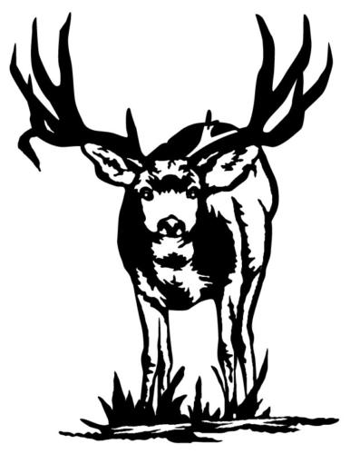 Mule-Deer-Buck-Scene-3