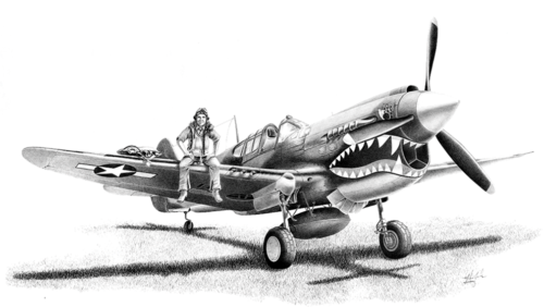 P-40-WarHawk-Large