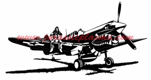 P-40-WarHawk-Large36BS