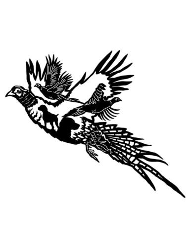 Pheasant-Flying-Scene-1