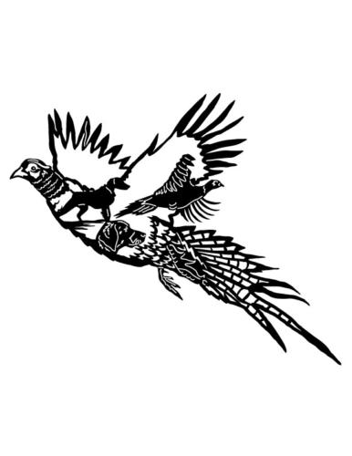 Pheasant-Flying-Scene-2