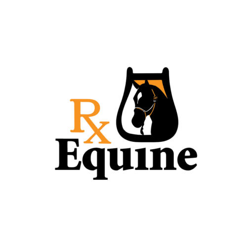 RxE Logo Web-Ready