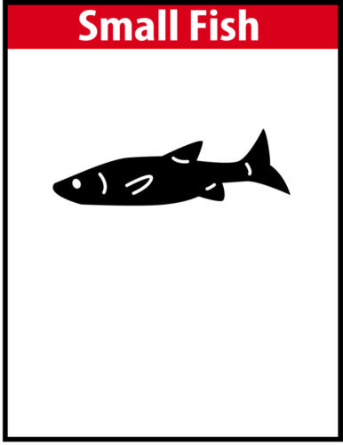Small Fish JPG Image File