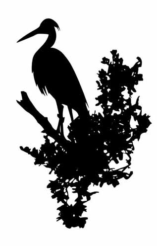 blue heron bushesc