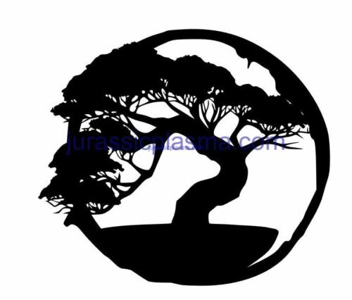 bonsai tree 24 imageWM