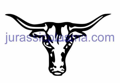 bull head imageWM (1) (1)