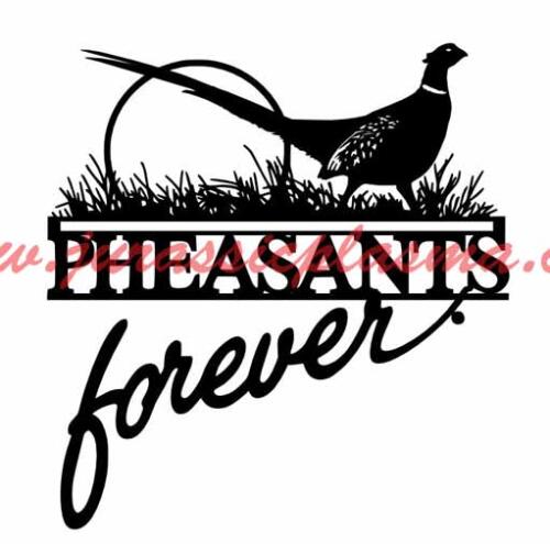 pheasant 2BQ