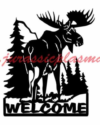 welcome moose 18.5DG